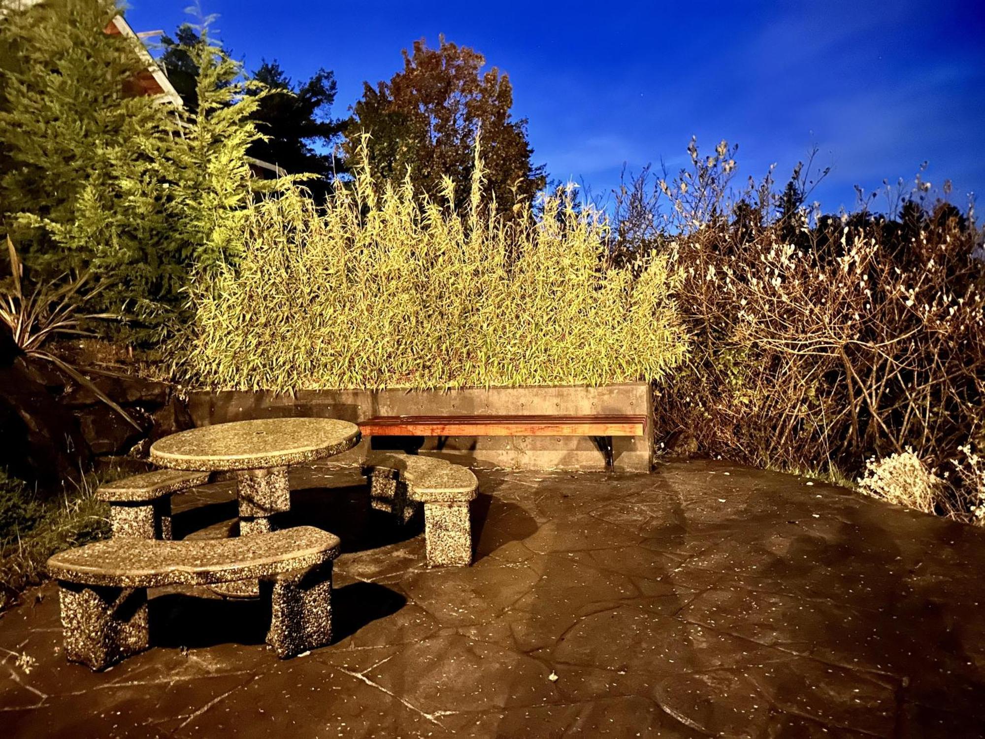 Private Room On Waterfront Property With Hot Tub Firepit - Sea Esta Ucluelet Luaran gambar